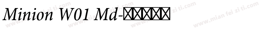 Minion W01 Md字体转换